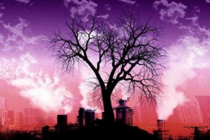 Co dotyczy globalnych problemów środowiskowych? Lista podstawowych problemów i sposobów ich rozwiązania